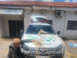 Polícia Ambiental multa pescadores em R$ 3,2 mil e apreende 32 kg de peixes no Rio Aguapeí