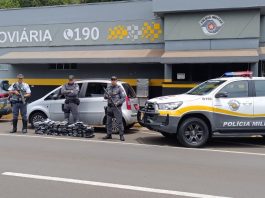 Polícia Rodoviária prende homem que transportava 52 kg de haxixe na Raposo Tavares