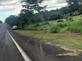 Motorista morre em acidente de carro na Rodovia Júlio Budiski, em Álvares Machado