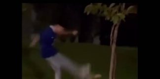 ASSISTA: Jovem é multado em R$ 3 mil por ter chutado animal silvestre em condominio de Presidente Prudente