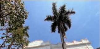 Secretaria de Cultura de Prudente exibe documentário “Conversas sobre o Fim” no Museu neste sábado