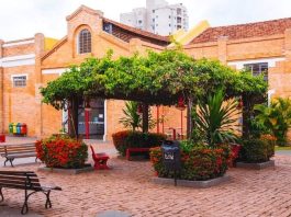 Matarazzo oferece aulas gratuitas de capoeira aos domingos