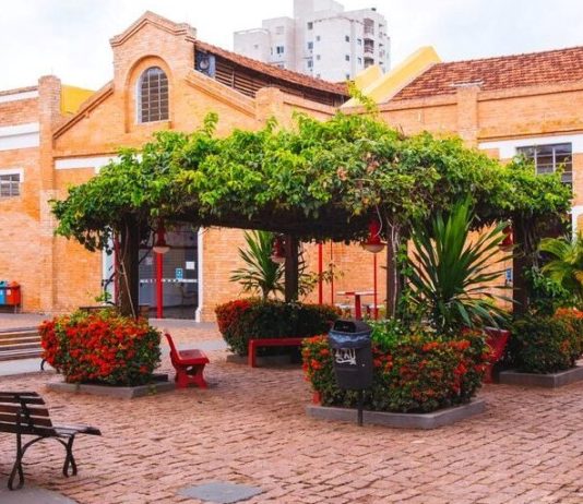 Matarazzo oferece aulas gratuitas de capoeira aos domingos