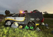 Carga de drogas é encontrada em ônibus e quatro pessoas são detidas na Rodovia Raposo Tavares
