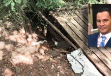 Edu da Padaria cobra recuperação urgente da estrada do Batalhão e conserto de ponte rural