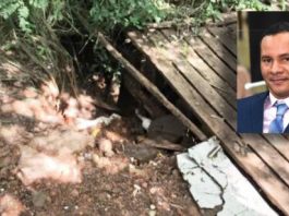 Edu da Padaria cobra recuperação urgente da estrada do Batalhão e conserto de ponte rural