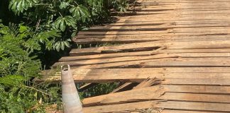 Seagri realiza manutenção em ponte na Estrada Boiadeira Velha, interditada para reparos