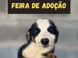Abrigo de Animais e Parque Shopping Prudente promovem feira de adoção neste sábado