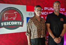 Feicorte fará grande Fórum Internacional no Paraguai em março