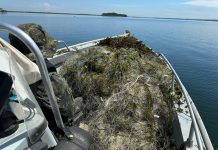 Polícia Ambiental apreende mais de 2 km de redes de pesca ilegais em Epitácio e Panorama