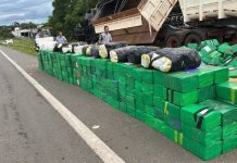 Interior de SP registra 70% das apreensões de drogas em 2025, aponta SSP