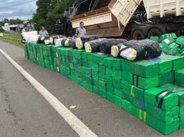 Interior de SP registra 70% das apreensões de drogas em 2025, aponta SSP