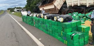 Interior de SP registra 70% das apreensões de drogas em 2025, aponta SSP