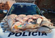 Polícia Ambiental doa 52 quilos de pescado a entidade de Dracena após apreensão em Lucélia
