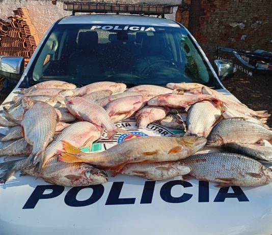 Polícia Ambiental doa 52 quilos de pescado a entidade de Dracena após apreensão em Lucélia
