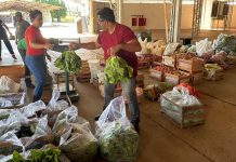 Presidente Prudente inicia entregas do PAA 2026 com 2,4 toneladas de alimentos