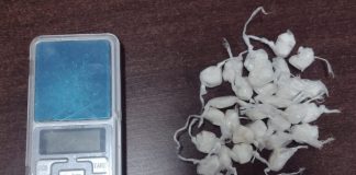 Criminoso é preso com porções de cocaína e balança de precisão em edícula no Jardim Paraíso