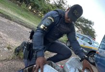 Boliviano é preso pela Polícia Rodoviária com mais de 8,5 kg de skunk em ônibus na Raposo Tavares