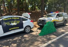 Polícia Rodoviária apreende mais de 266 quilos de maconha na SP-272 em Pirapozinho