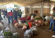 PAA distribui mais de 2,4 toneladas de alimentos a entidades em Presidente Prudente