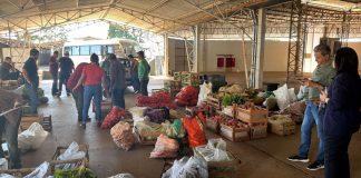 PAA distribui mais de 2,4 toneladas de alimentos a entidades em Presidente Prudente