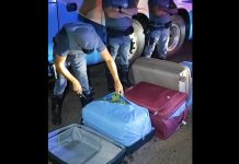 Polícia Rodoviária apreende quase 91 kg de folhas de coca em ônibus na rodovia Raposo Tavares