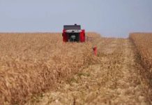 Conflito no Oriente Médio pressionam o agro no Brasil