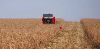 Conflito no Oriente Médio pressionam o agro no Brasil