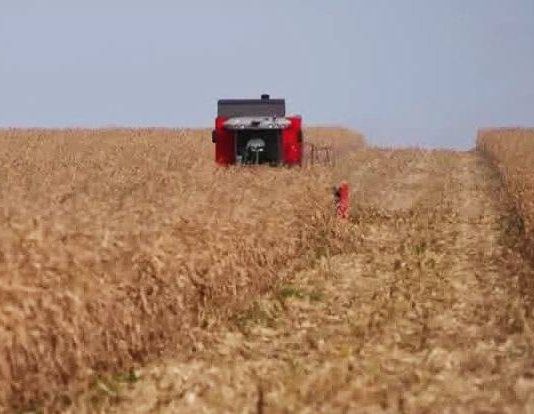 Conflito no Oriente Médio pressionam o agro no Brasil