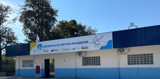 Presidente Prudente anuncia nova fase do Método Wolbachia para reforçar combate à dengue
