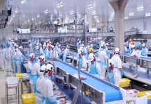 Better Group é o primeiro frigorífico do Brasil a receber certificação 2030 TODAY