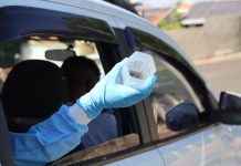 Prudente amplia combate à dengue com nova fase de soltura de mosquitos Wolbachia