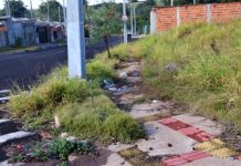 Prudente inicia notificação de milhares de terrenos baldios para combater sujeira e focos de dengue