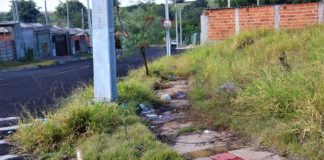 Prudente inicia notificação de milhares de terrenos baldios para combater sujeira e focos de dengue