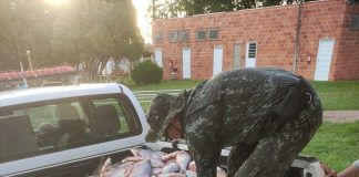 Polícia Ambiental apreende mais de meia tonelada de peixes e aplica R$ 32,5 mil em multas