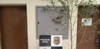 Após buscarem drogas em Prudente, casal é preso em abordagem da Polícia Militar em Presidente Bernardes