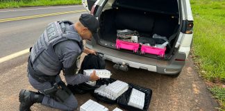 Polícia Rodoviária prende homem com mais de 34 mil comprimidos contrabandeados em Pirapozinho