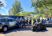 Ação integrada das forças de segurança intercepta veículo carregado com mais de 270 kg de drogas