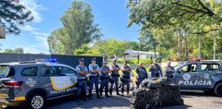 Ação integrada das forças de segurança intercepta veículo carregado com mais de 270 kg de drogas