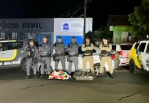 Polícia Rodoviária apreende quase 40 kg de haxixe e prende casal próximo à divisa entre SP e PR