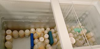 Estoque do Banco de Leite de Presidente Prudente fica abaixo do ideal e unidade busca novas doadoras