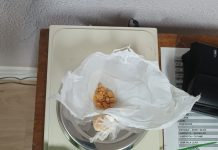 Jovem é preso por tráfico de drogas após tentar fugir da polícia em Prudente