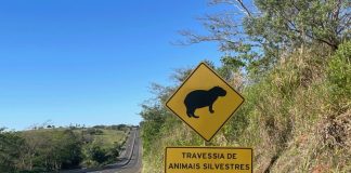 Atropelamentos de animais caíram 28% no Oeste Paulista, segundo DER