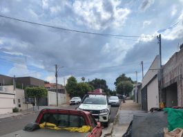 Homem é multado em R$ 3 mil por maus-tratos a cavalo após vídeo repercutir em Presidente Prudente