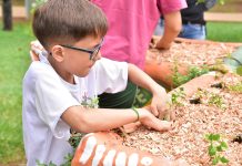 Sesc Thermas Prudente promove programação gratuita sobre natureza e sustentabilidade