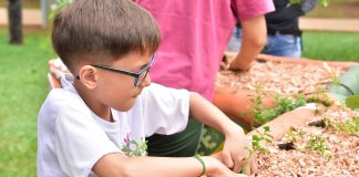 Sesc Thermas Prudente promove programação gratuita sobre natureza e sustentabilidade