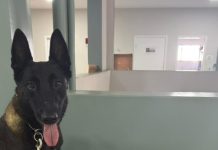 Mototaxista é preso por tráfico de drogas e resistência em Pirapozinho