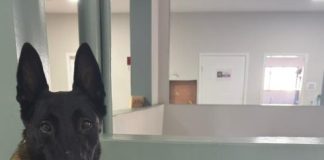 Mototaxista é preso por tráfico de drogas e resistência em Pirapozinho