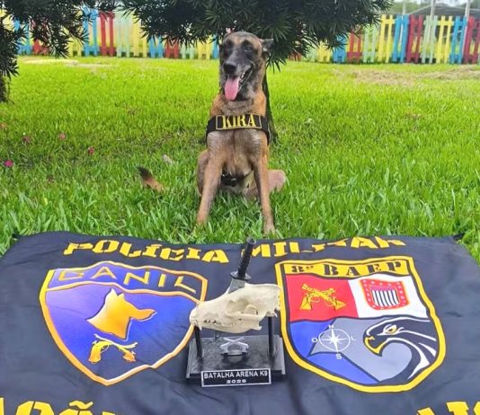 Cadela policial de Presidente Prudente garante 1º lugar em competição internacional