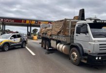 Queda de roubos de carga no interior de SP pode impactar região de Presidente Prudente